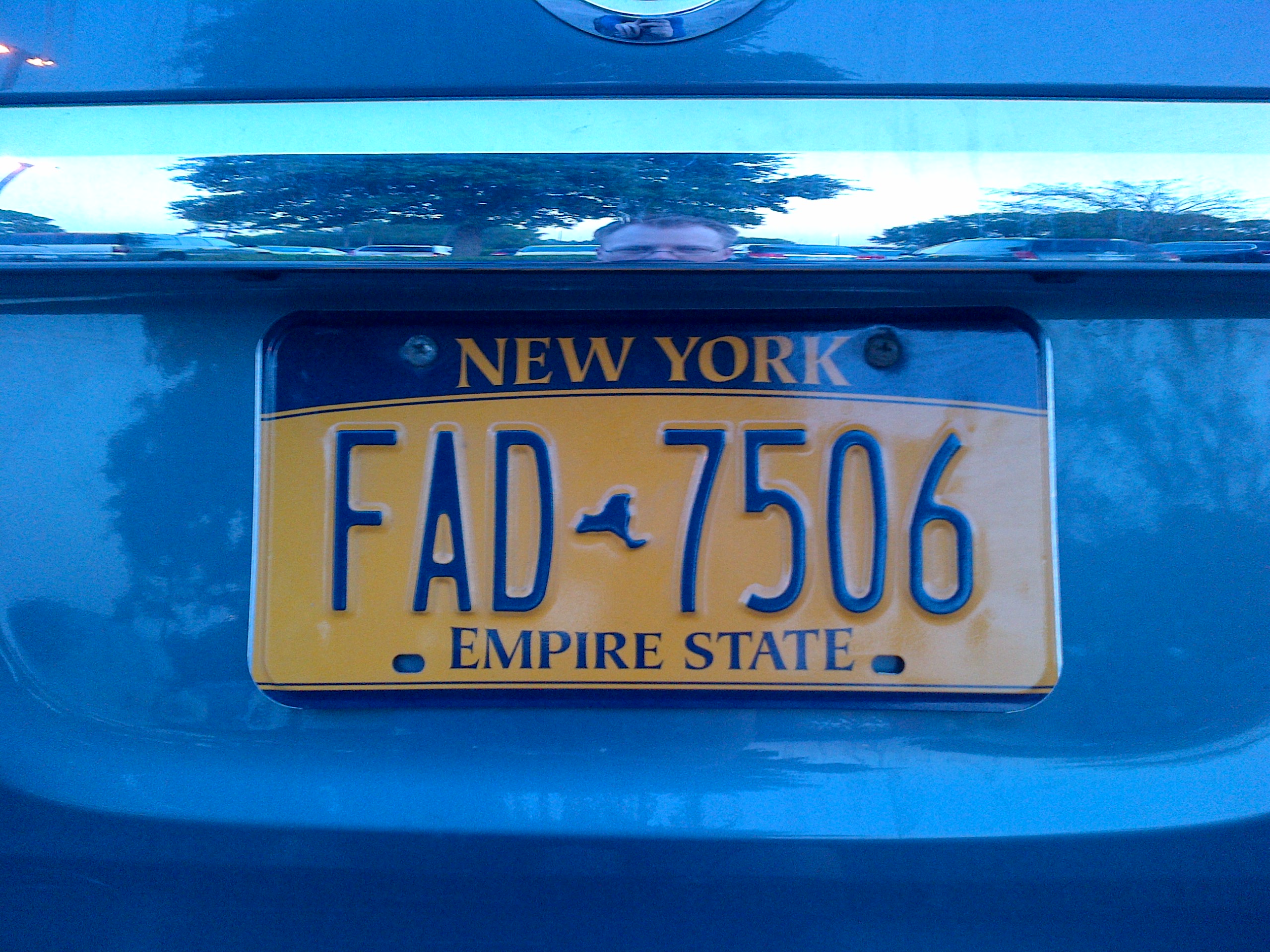 Fad Gadget-inspired Licence Plate?