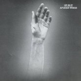 The Afghan Whigs 'Up In It' artwork