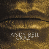 Andy Bell 'Crazy' artwork