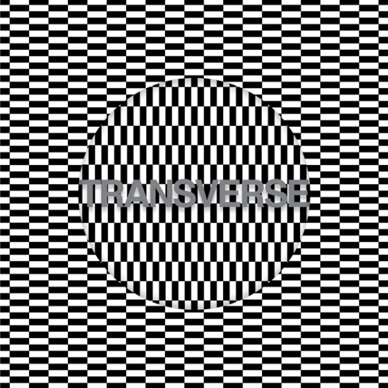 CarterTuttiVoidAlbumFront_6001-560x560